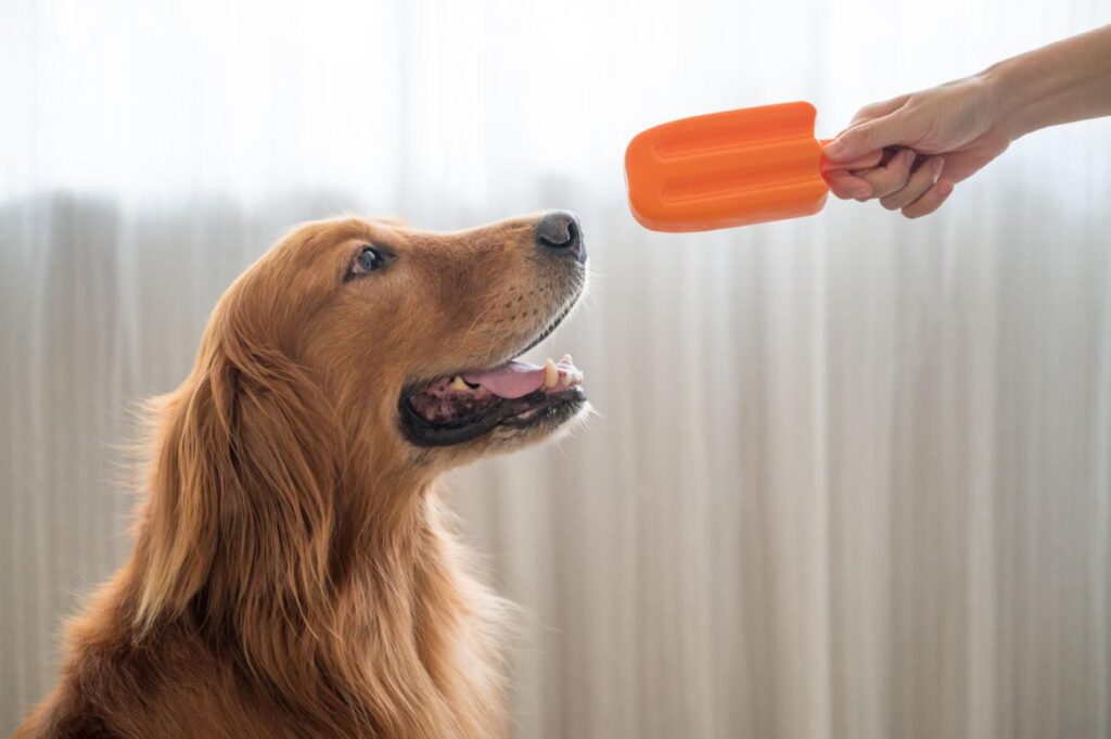 frozen dog treats