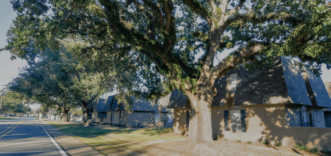 DSC_7171-HDR